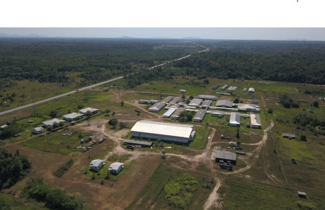 DJI_0151 (1).DNG