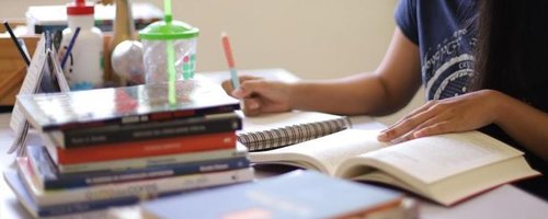 São ofertadas 46 bolsas, sendo 3 para cursos de graduação, 4 para cursos de especialização, 27 para cursos de mestrado e 12 para doutorado - Fts Gildo Jr (3)