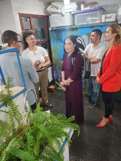 Programação na Universidade Nacional de Misiones, no estado de Posadas (Argentina)